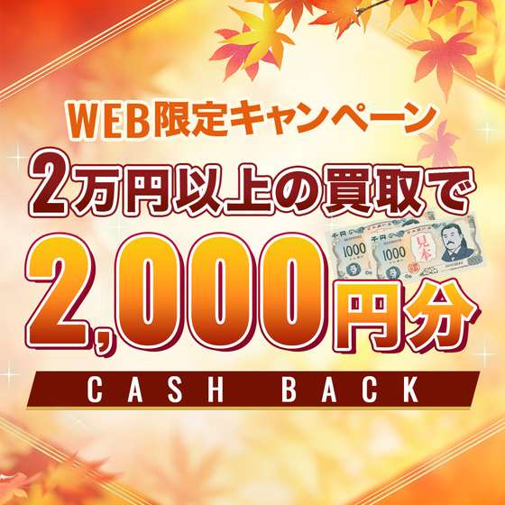 お知らせの画像